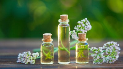 Етерично масло от валериан – при стрес и раздразнен стомах