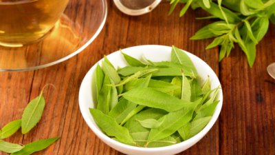 Лимонова вербена – чай с много ползи за здравето 