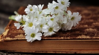 Еврейски поговорки