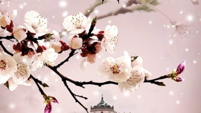 Пролетен сняг, любов, загуба, скандални разкрития