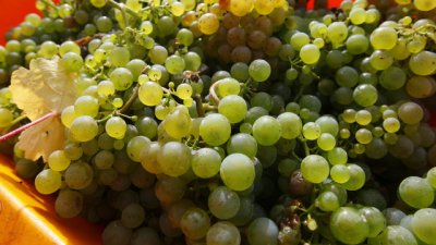 Плодове, а не сухи цветя са здравословната декорация