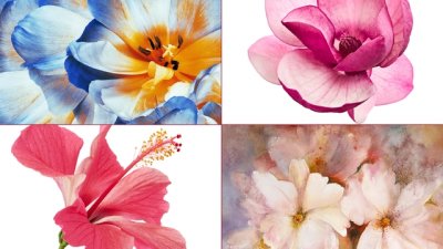 Изберете цвете и вижте какво предизвикателство трябва да преодолеете