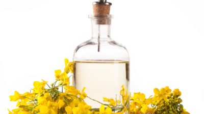 Защо да предпочетем рапичното олио?