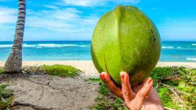 Сейшелските острови – кокосовият рай 