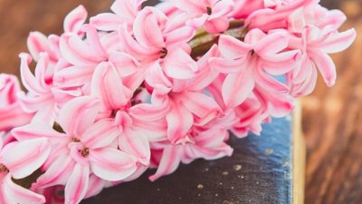 Мисъл на деня за... критиките