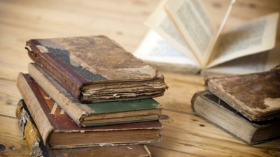 Мисъл на деня