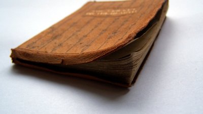 Мисъл на деня