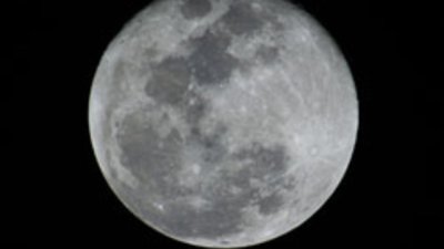 Лунна диета – декември 2010