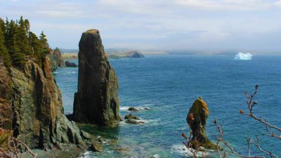 8 причини да посетите Нюфаундленд