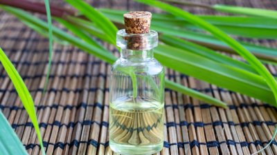 5 страхотни ползи от лимоновата трева 