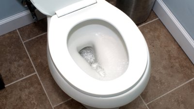 Не изхвърляйте това в тоалетната!