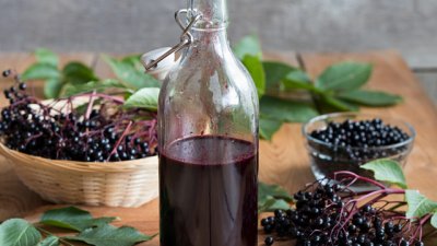 Сироп от бъз против грип – рецептата на баба