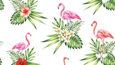 4 красиви птици разкриват какво ви очаква през лятото