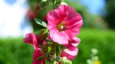 След лятото