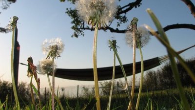 Почивни дни и официални празници през 2013