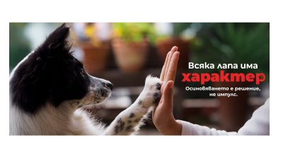 Стартира кампанията &bdquo;Всяка лапа има характер&ldquo; за повече успешни осиновявания в България