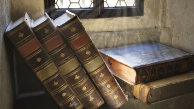 Мисъл на деня