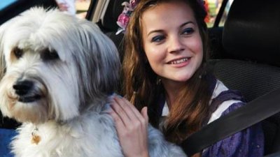 Гледайте приключенията на „Любимецът Пъдси“ по Bulgaria ON AIR