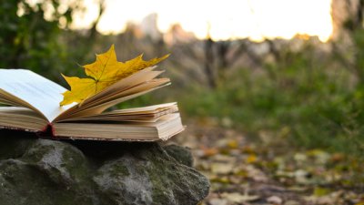 Притча за препятствията на пътя