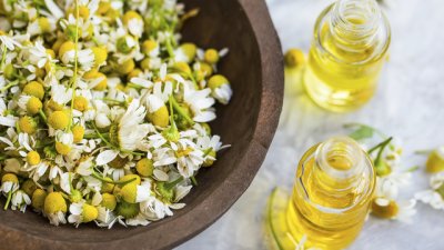 Лайката и нейните лечебни свойства