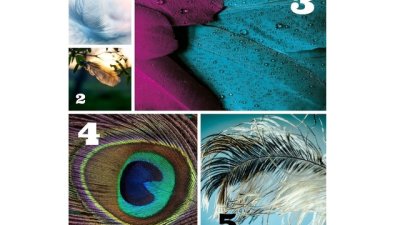 Изберете си перо и вижте какво ви съветват ангелите