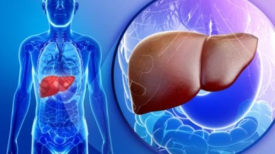 Растителни храни, детоксикиращи черния дроб