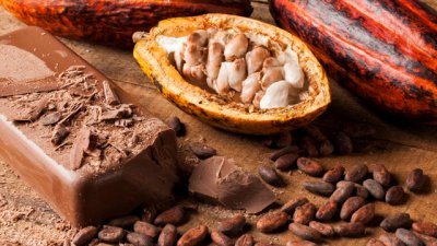 Най-добрите афродизиаци за жени