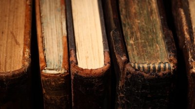 Мисъл на деня