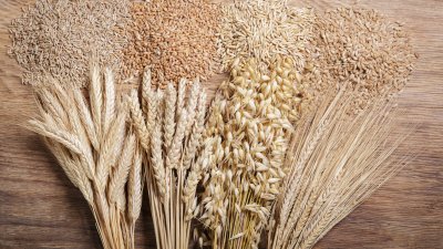 Яжте ечемик за здраво сърце и силни кости