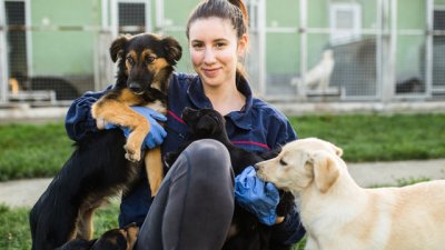 Причини да осиновите куче от приют, вместо да купувате 