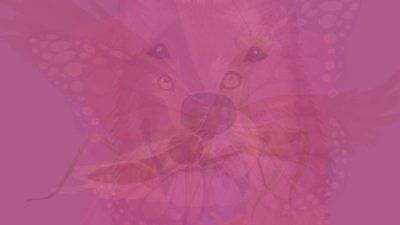 6 изображения разкриват личността