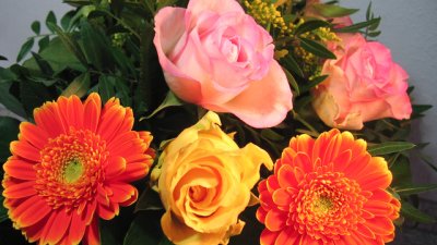 Как да се сдобрите със свекървата