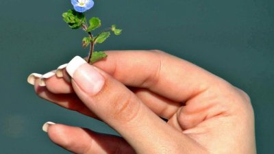 Продукти от кухнята избелват пожълтели нокти