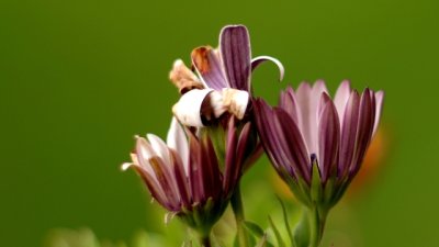 Тук е... есента!