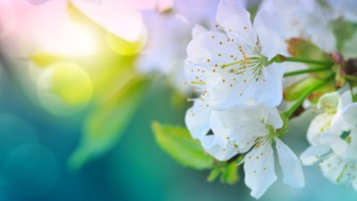 4 зодии, за които април ще е прекрасен