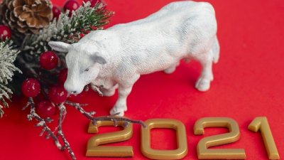 Кратка астрологична прогноза за 2021 –  Годината на белия метален Вол