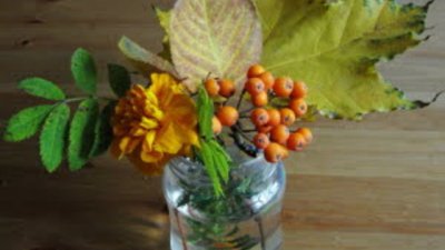 Предложения за почивните дни – 5 и 6 ноември