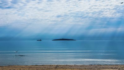 5 места за незабравимо предложение за брак