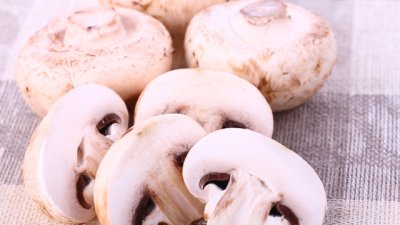 Гъбите – супер полезни за здравето 