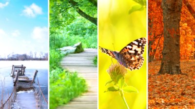 Тест: Сезонът, в който сме родени, определя личността ни