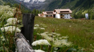 С деца на планина – най-важните неща за поход