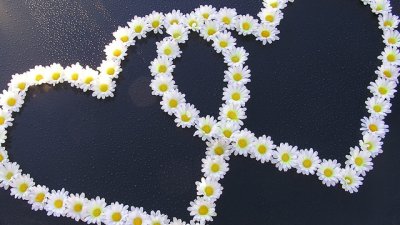 Любовен хороскоп за 31 март – 6 април 2014