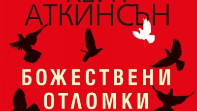 Как може да бъде описан един объркан живот?