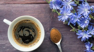 „Кафе“ от цикория - за бодрост и добро храносмилане