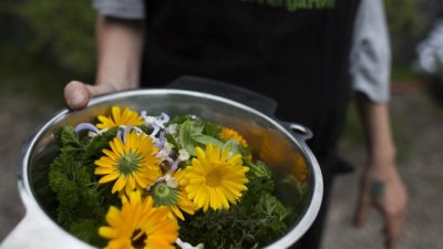 Задействайте самолечителя у вас