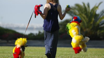 Домашен любимец за здраво сърце