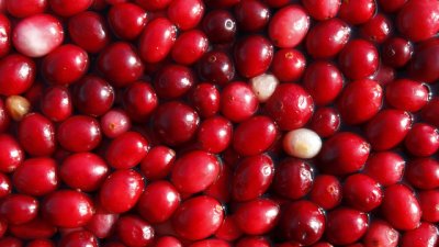 Билки, които помагат при цистит и бъбречни проблеми