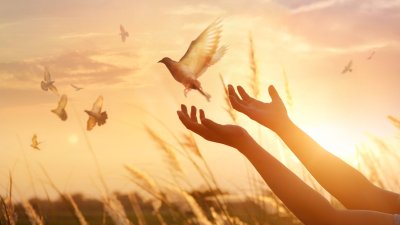 10 поверия за Илинден