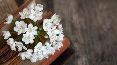 Мисъл на деня за страха