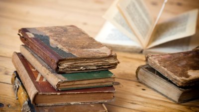 Мисъл на деня